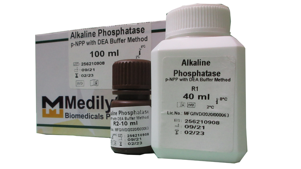 Alkaline Phosphatase