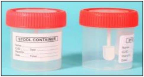 SAMPLE CONTAINER 30ML WITH SPOON